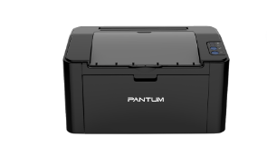Pantum P2207